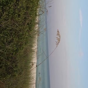 Meet your Posher, Jonne